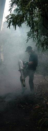 thermal fogging ants Hutt 1